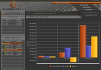 Poinka Business Plan 2013 Poinka Business Plan 2013
