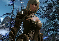Guild Wars 2 Windows Guild Wars 2 Windows