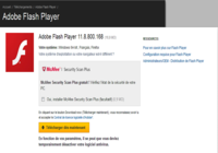 Flash Player Flash Player