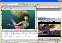 VNC VNC