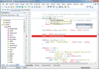 Rapid PHP 2011 Rapid PHP 2011