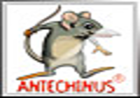 Antechinus C# Editor Antechinus C# Editor