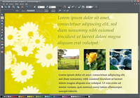 Photo & Graphic Designer Photo & Graphic Designer