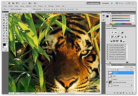 Adobe Photoshop CS6 Adobe Photoshop CS6