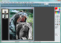 PhotoFiltre Studio PhotoFiltre Studio