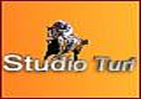 STUDIO TURF STUDIO TURF