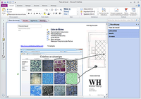 Microsoft Office Professionnel 2013 Microsoft Office Professionnel 2013