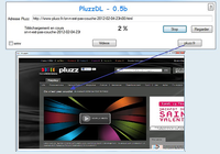 PluzzDL Windows PluzzDL Windows