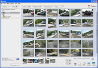 Picasa Picasa