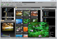 ACDSee Pro 2 ACDSee Pro 2